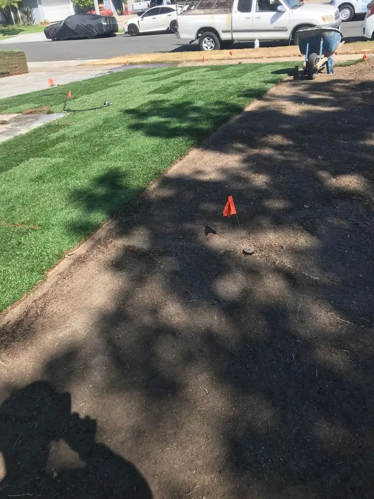 Top-rated landscape installation experts serving Anaheim, CA - Black Panthers