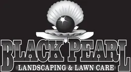 Professional lawn mowing service for beautiful yards in Okemos, MI by Black Pearl Lawn & Snow
