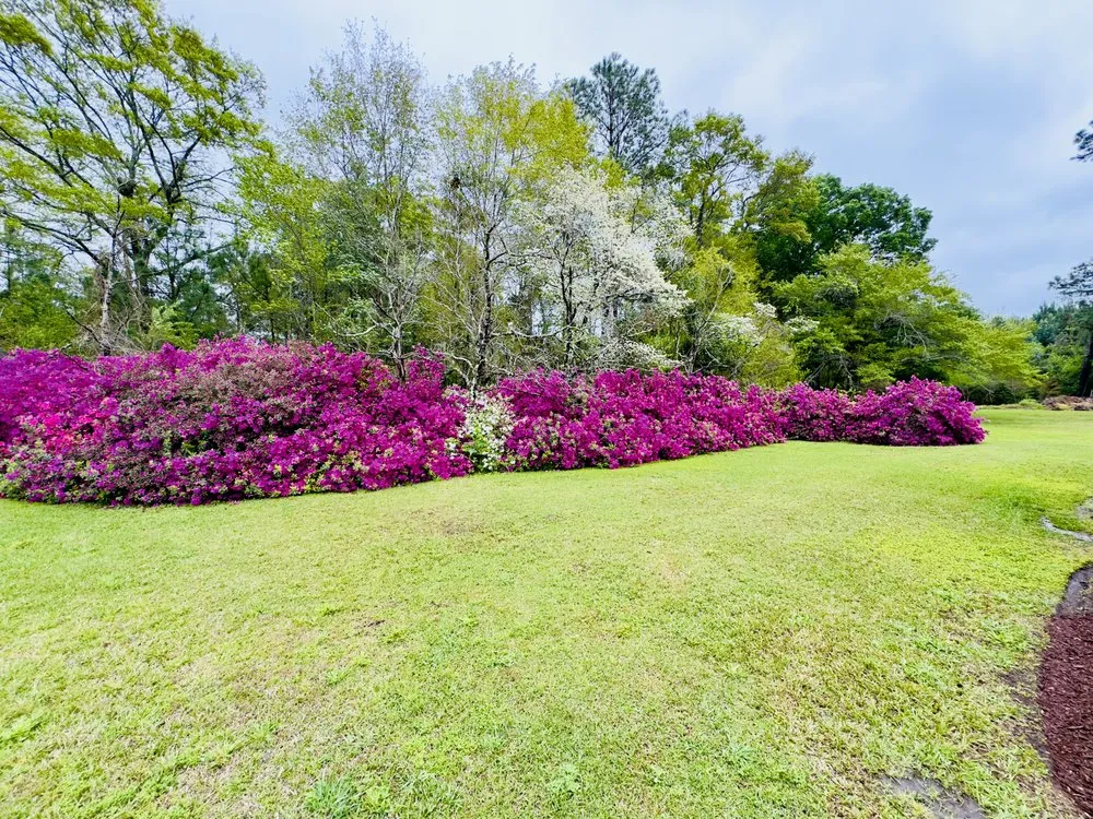 Professional lawn care service experts serving Pawleys Island, SC - Black River Landscape & Design