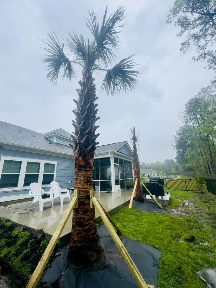 Reliable outdoor landscaping in Pawleys Island, SC by Black River Landscape & Design