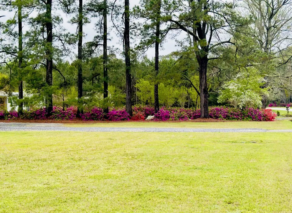 Top-rated yard maintenance with custom design in Pawleys Island, SC by Black River Landscape & Design