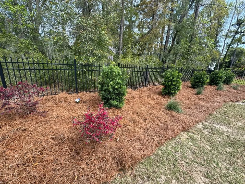 Affordable residential landscaping for outdoor upgrades in Pawleys Island, SC by Black River Landscape & Design