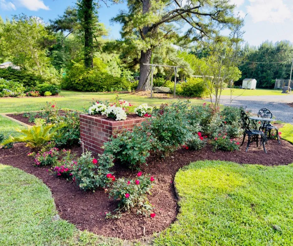 Affordable yard cleanup service in Pawleys Island, SC - Black River Landscape & Design