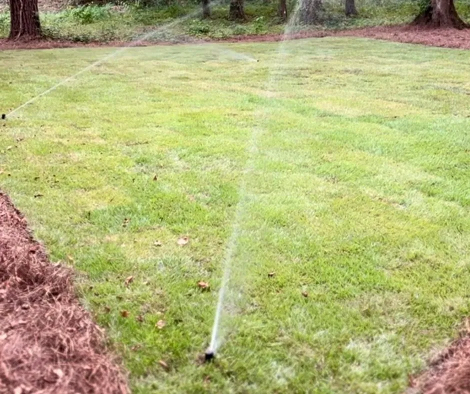 Expert yard cleanup service in Pawleys Island, SC by Black River Landscape & Design