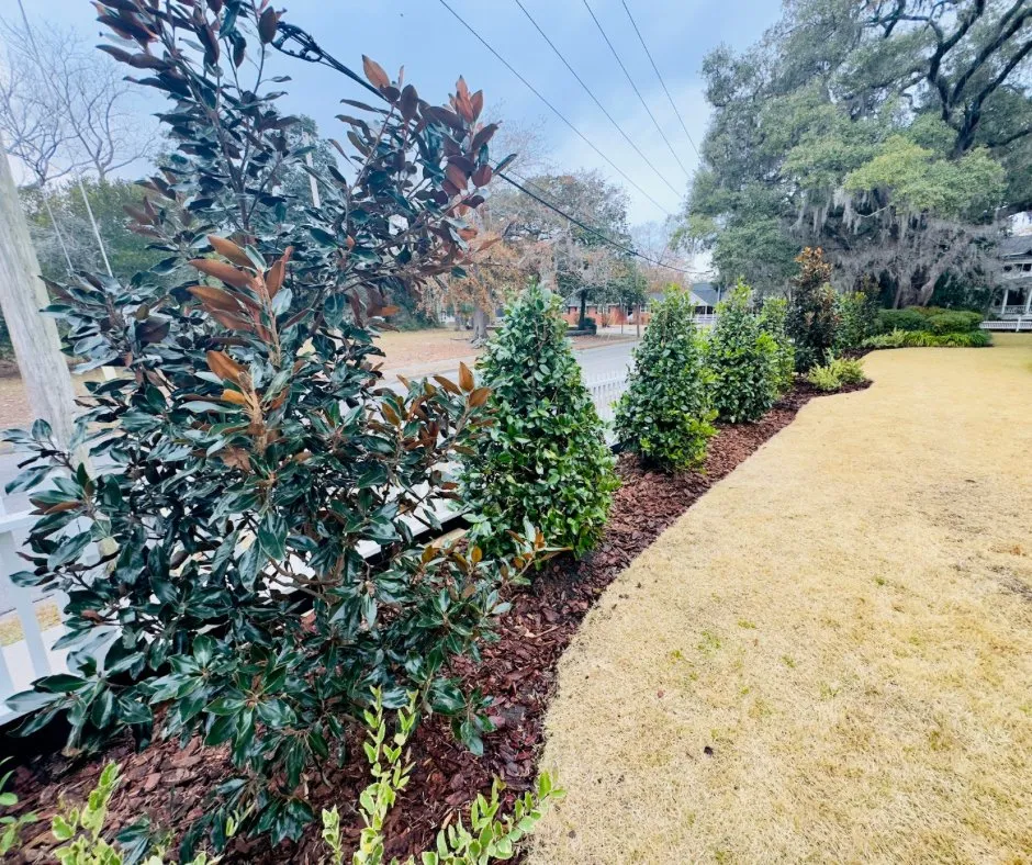 Custom residential landscaping in Pawleys Island, SC by Black River Landscape & Design