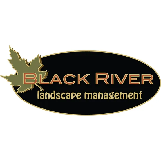Expert landscape design experts serving Randolph, NJ - Black River Landscape Management