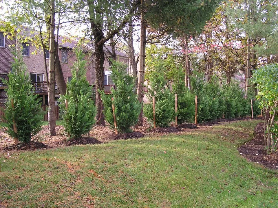 Affordable yard maintenance in Lexington, SC - Black River Landscaping