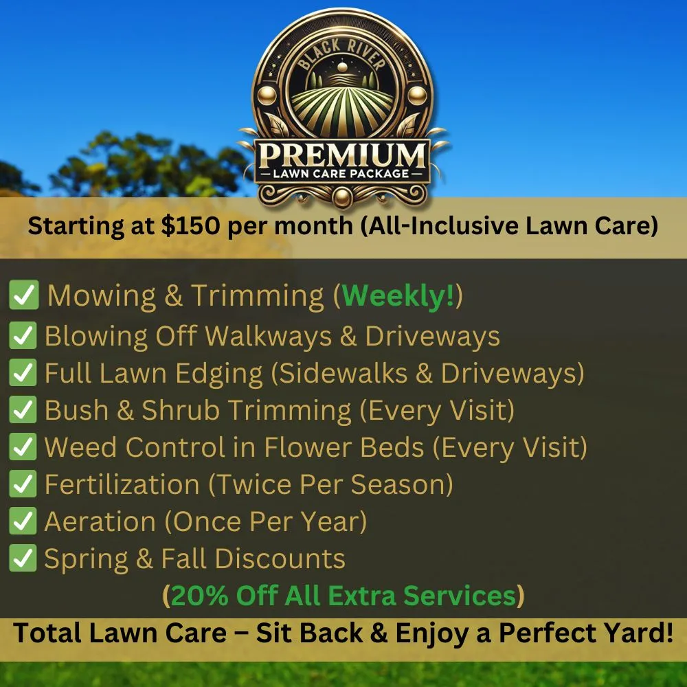 Top-rated landscaping services for year-round maintenance in Poplar Bluff, MO by Black River Landscaping