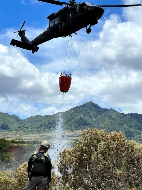 Trusted landscape design in Poplar Bluff, MO by Black River Landscaping