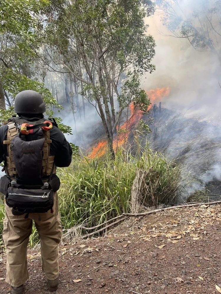 Custom yard cleanup service experts serving Poplar Bluff, MO - Black River Landscaping