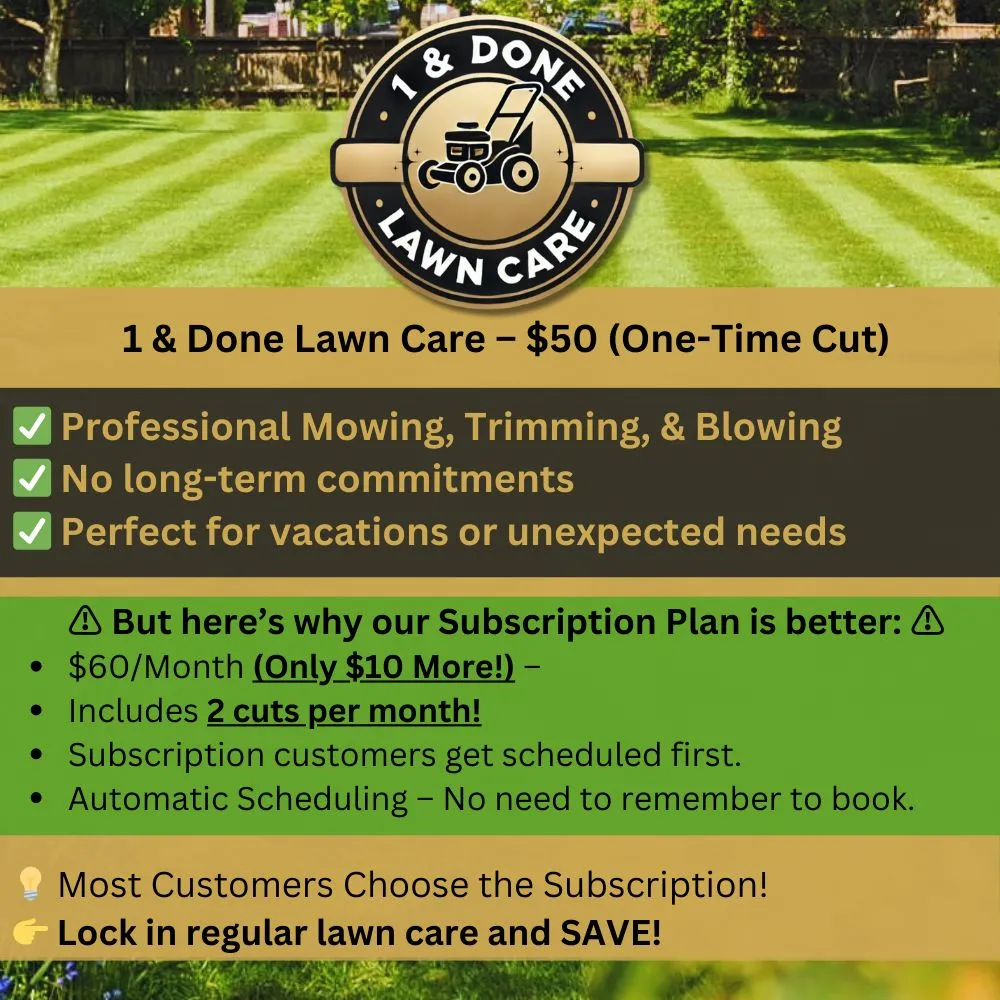 Custom lawn mowing service for beautiful yards across Poplar Bluff, MO - Black River Landscaping