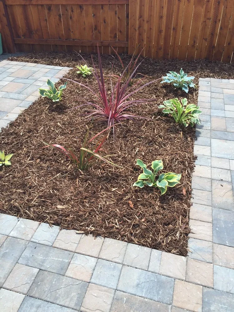 Custom yard maintenance in Chico, CA by Black Rock Landscaping