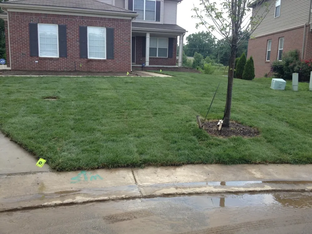Trusted outdoor landscaping experts serving Livonia, MI - Black Rock Sprinklers