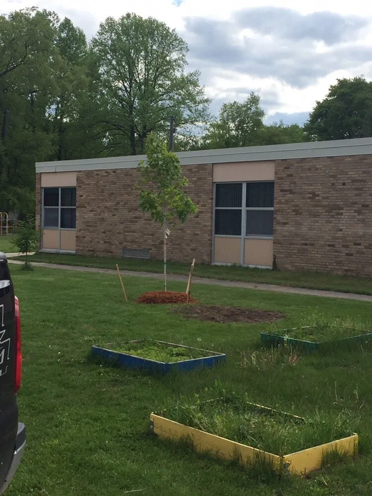 Professional residential landscaping for beautiful yards in Livonia, MI by Black Rock Sprinklers