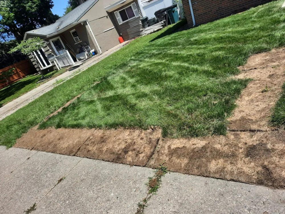 Trusted landscape design in Livonia, MI by Black Rock Sprinklers