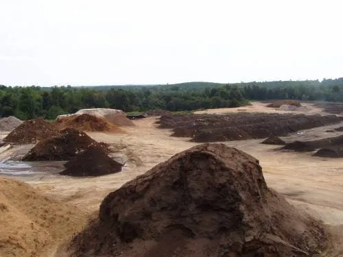 Trusted lawn mowing service for year-round maintenance in Winston Salem, NC by Black Sand Gravel & Mulch