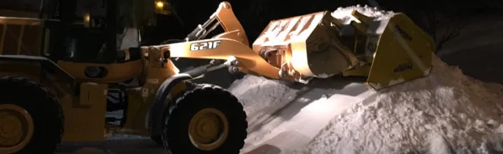 Affordable yard cleanup service in Anchorage, AK by Black Sands Corporation