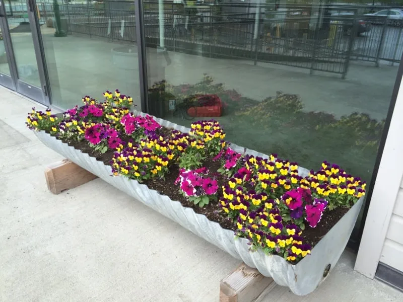 Reliable yard cleanup service experts serving Anchorage, AK - Black Sands Corporation