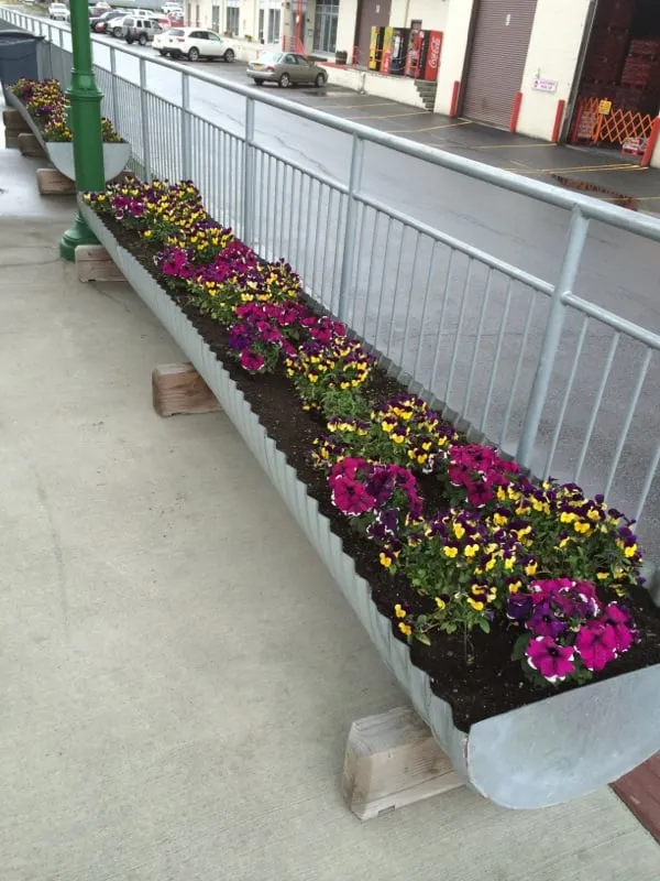 Local lawn care service in Anchorage, AK by Black Sands Corporation