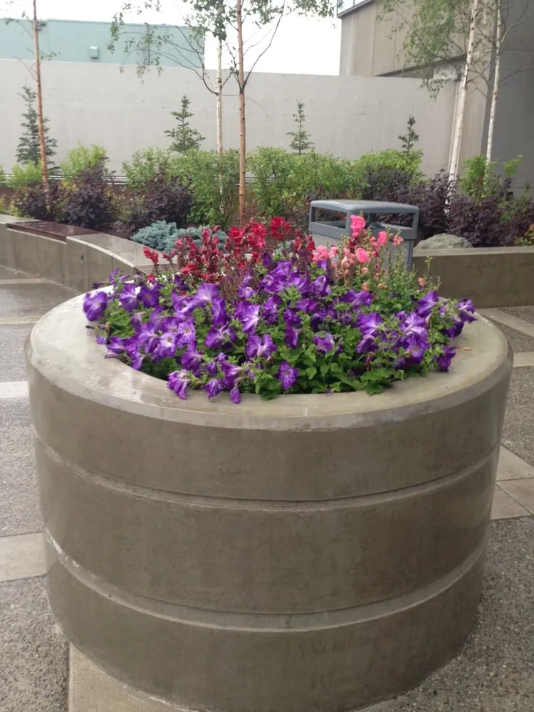 Trusted lawn mowing service in Anchorage, AK - Black Sands Corporation