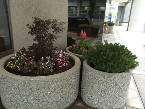 Local yard maintenance for year-round maintenance across Anchorage, AK - Black Sands Corporation