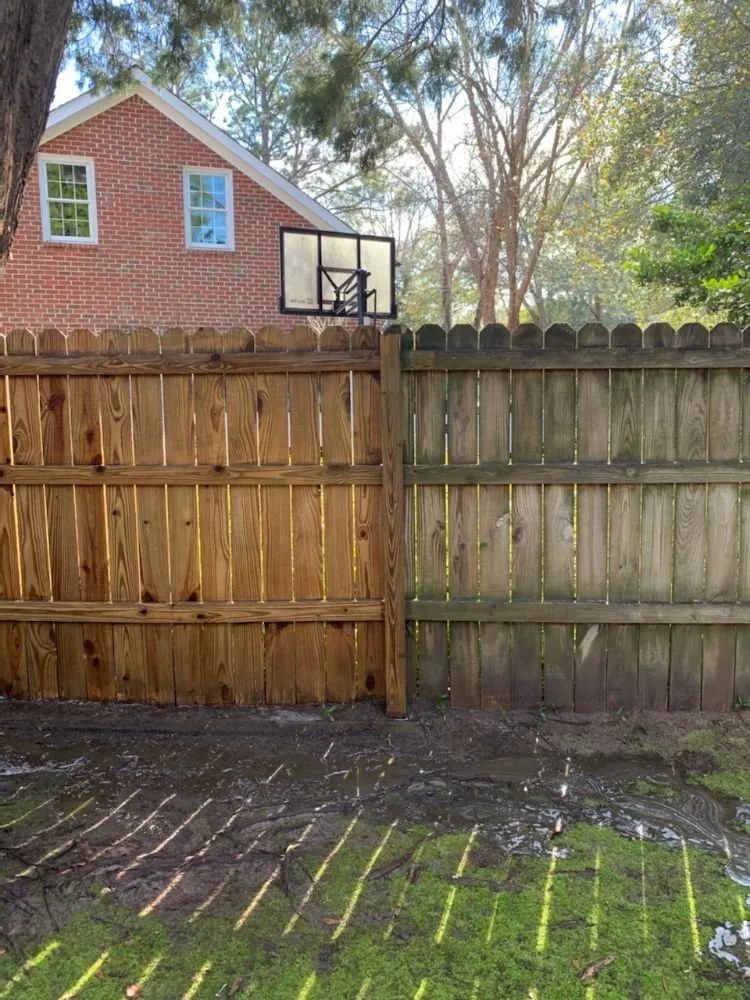 Reliable yard cleanup service experts serving Summerville, SC - Black Sheep Home Care