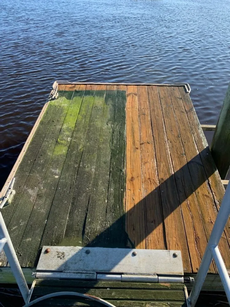 Expert landscape installation for beautiful yards in Summerville, SC by Black Sheep Home Care