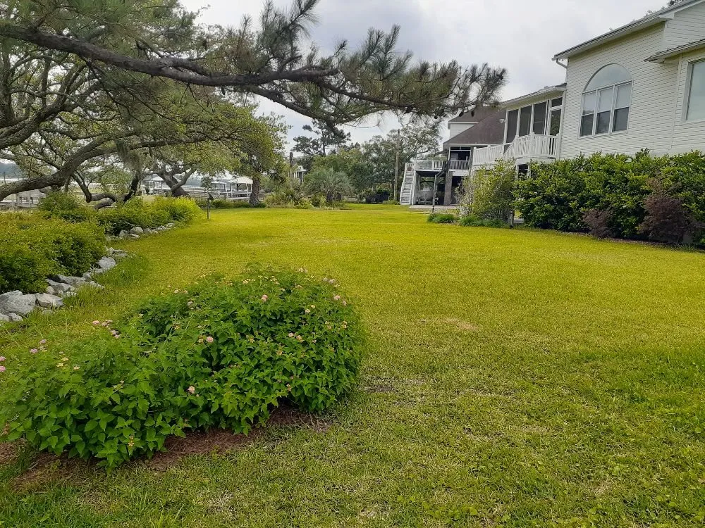 Affordable landscaping services experts serving Summerville, SC - Black Sheep Home Care