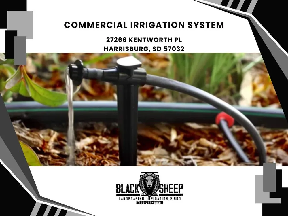 Affordable landscaping services experts serving Harrisburg, SD - Black Sheep Landscape