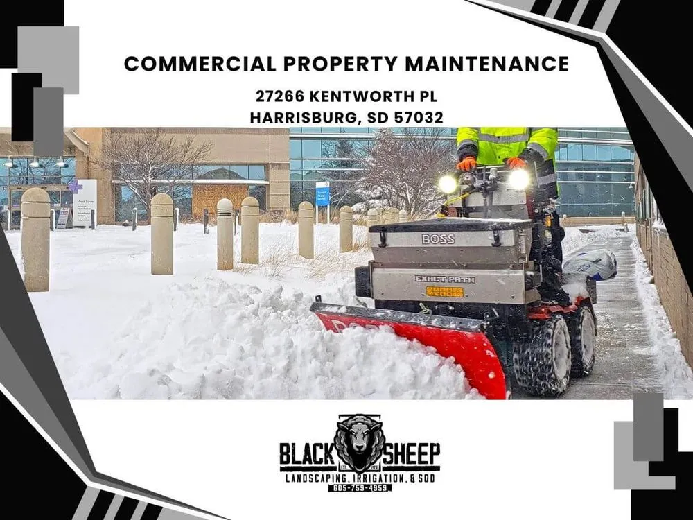 Affordable residential landscaping with custom design in Harrisburg, SD by Black Sheep Landscape