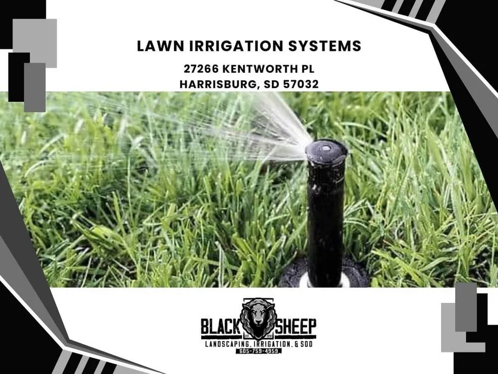 Reliable lawn care service experts serving Harrisburg, SD - Black Sheep Landscape