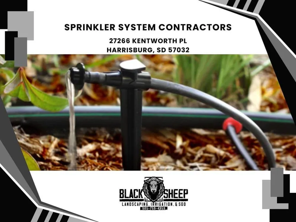 Affordable landscape design in Harrisburg, SD - Black Sheep Landscape