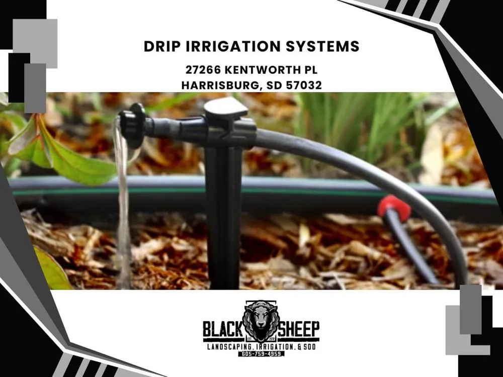 Custom yard cleanup service in Harrisburg, SD - Black Sheep Landscape