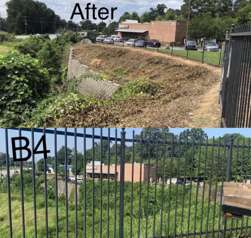 Professional landscape design in Startex, SC by Black Sheep Stump & More