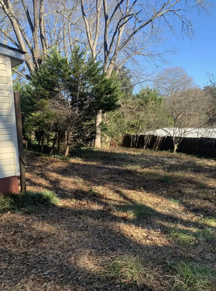 Local yard maintenance in Startex, SC - Black Sheep Stump & More