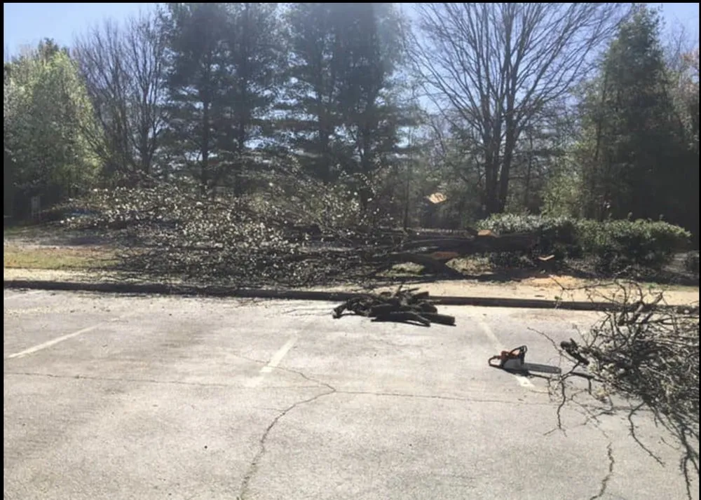 Custom landscaping services in Startex, SC - Black Sheep Stump & More