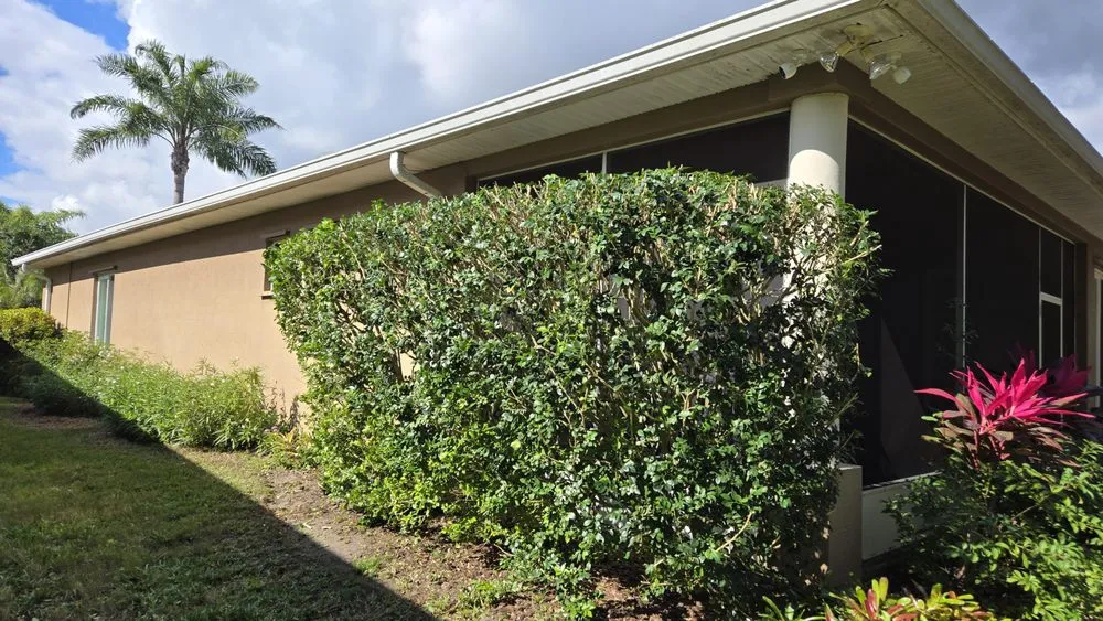 Trusted outdoor landscaping in Cocoa, FL by Black stallion tree service