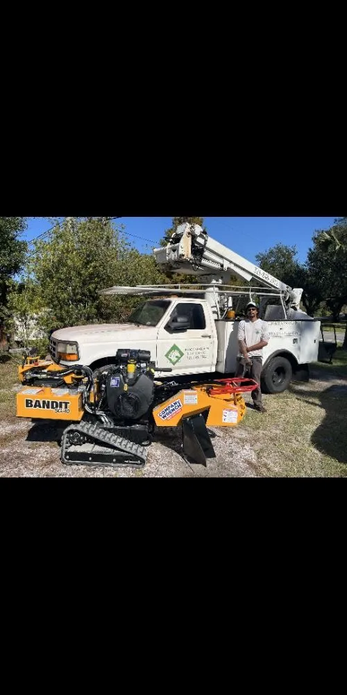 Professional landscaping services experts serving Cocoa, FL - Black stallion tree service