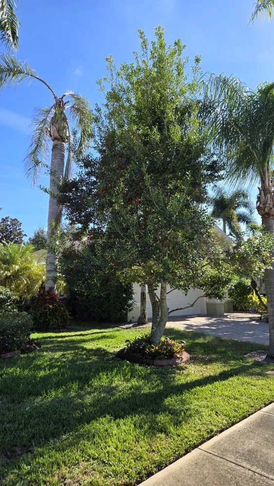 Top-rated landscape installation for beautiful yards in Cocoa, FL by Black stallion tree service