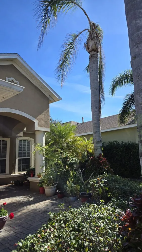 Top-rated outdoor landscaping in Cocoa, FL - Black stallion tree service