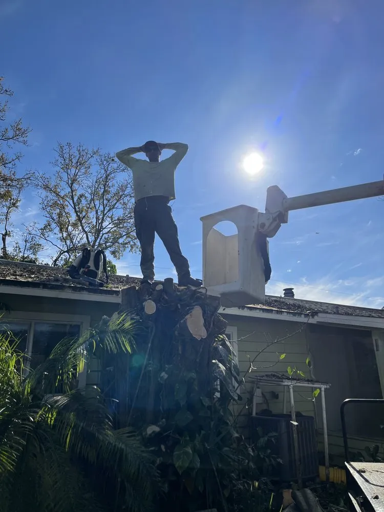 Trusted garden landscaping for year-round maintenance in Cocoa, FL by Black stallion tree service