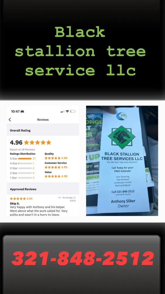 Top-rated landscape design near you across Cocoa, FL - Black stallion tree service