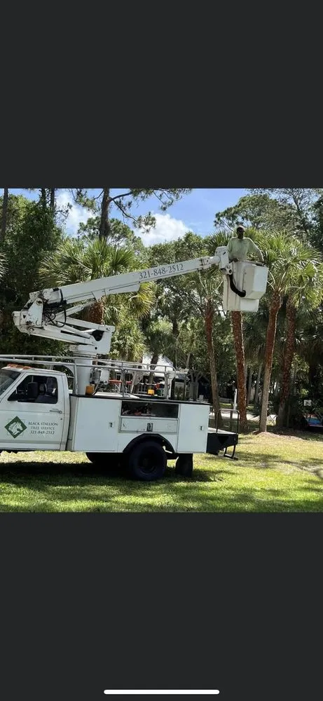 Expert outdoor landscaping with custom design in Cocoa, FL by Black stallion tree service