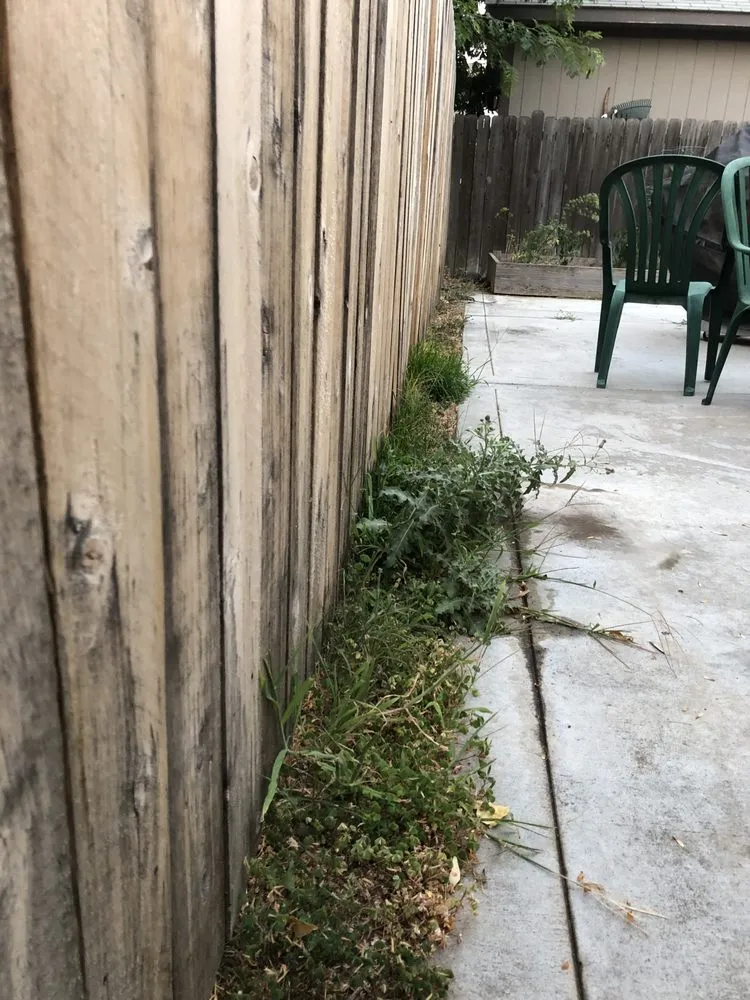 Professional landscape design with custom design in Nampa, ID by Black Star Landscaping