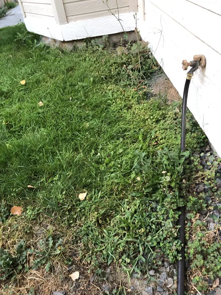 Local residential landscaping experts serving Nampa, ID - Black Star Landscaping