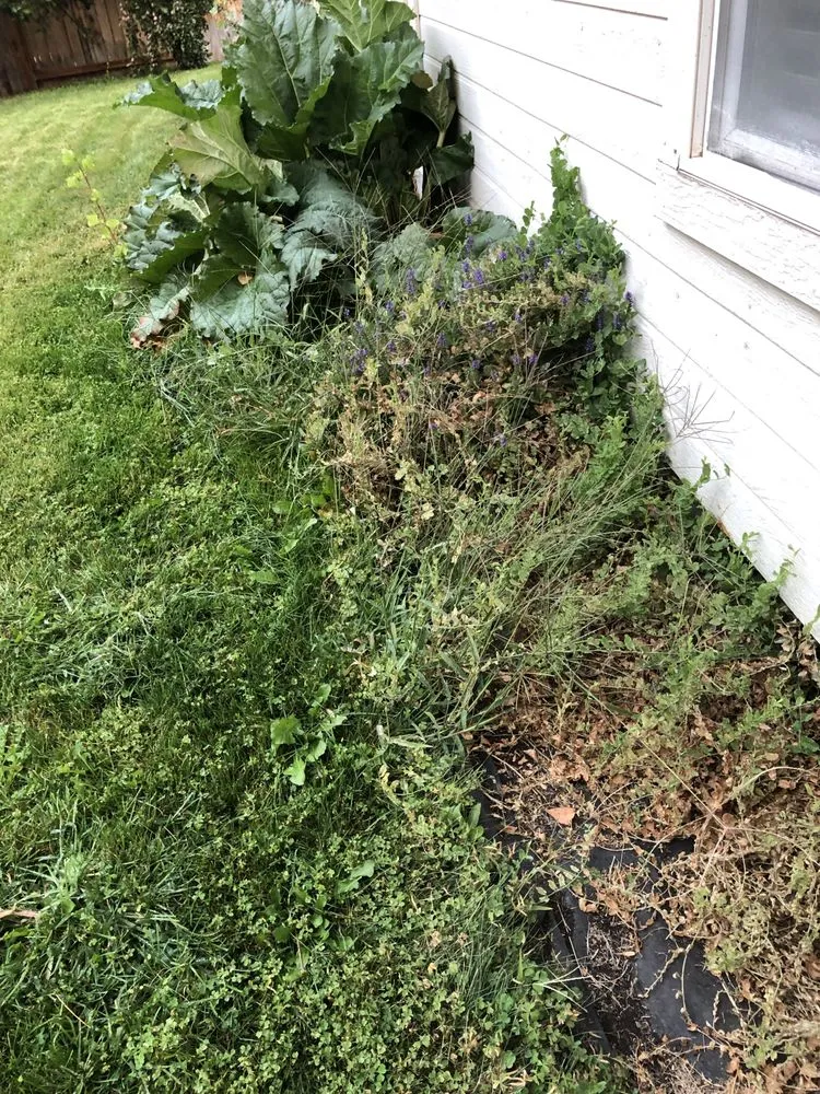 Trusted residential landscaping experts serving Nampa, ID - Black Star Landscaping