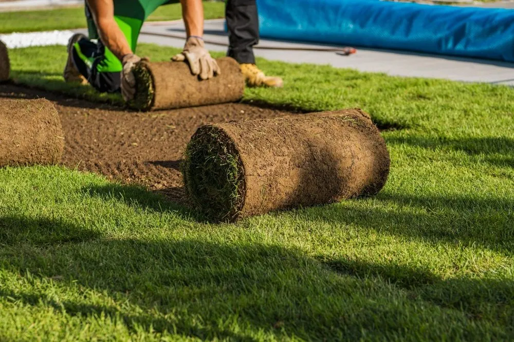 Professional landscape installation near you across Nampa, ID - Black Star Landscaping