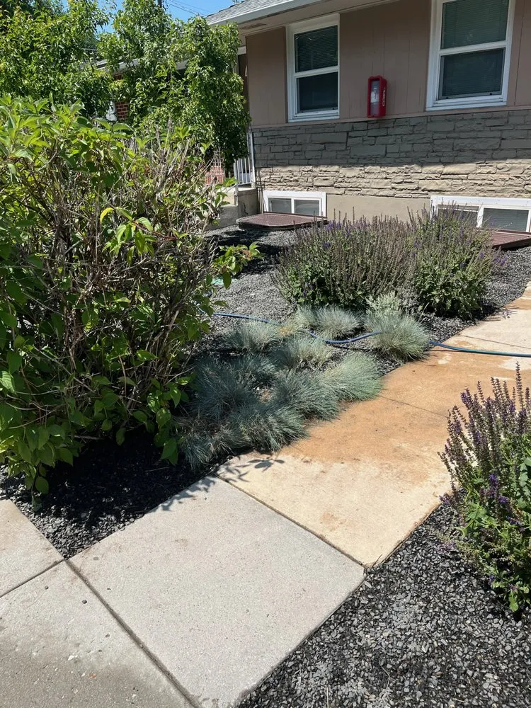 Top-rated yard maintenance in Nampa, ID - Black Star Landscaping