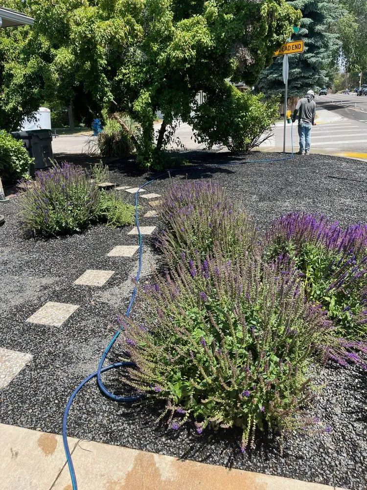 Local lawn care service experts serving Nampa, ID - Black Star Landscaping