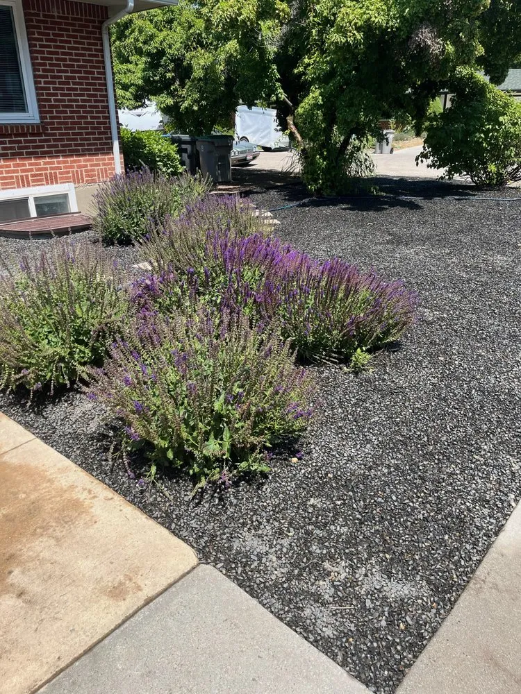 Affordable landscape installation experts serving Nampa, ID - Black Star Landscaping